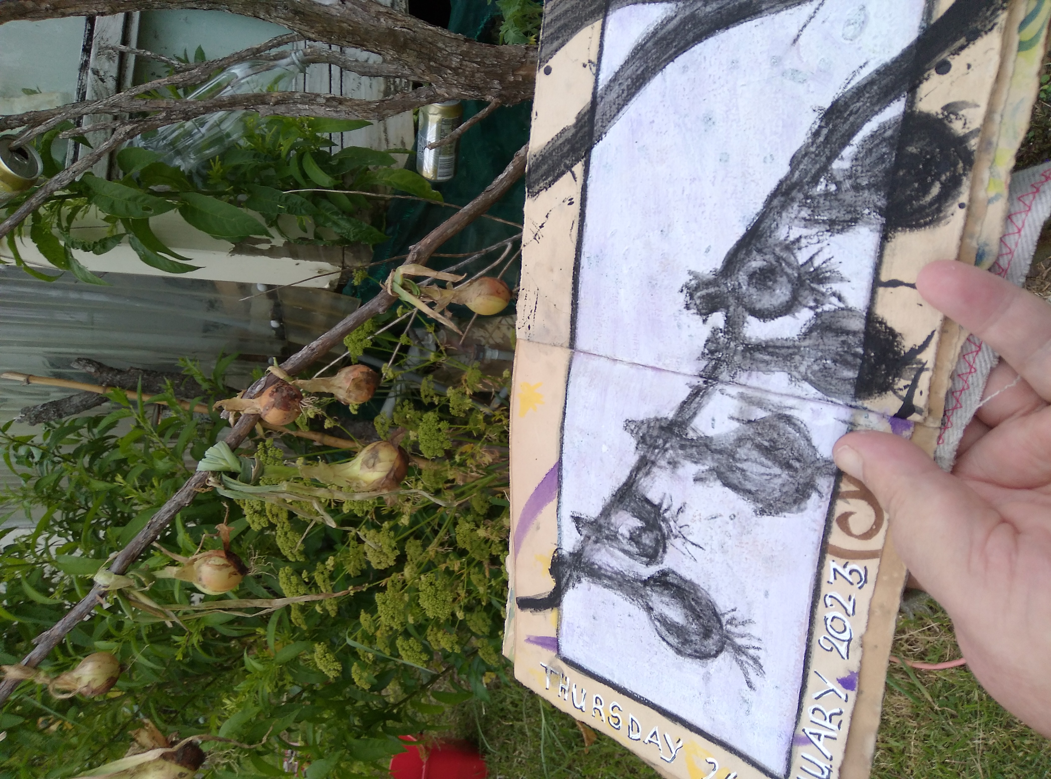 Post Cyclone Gabrielle check in