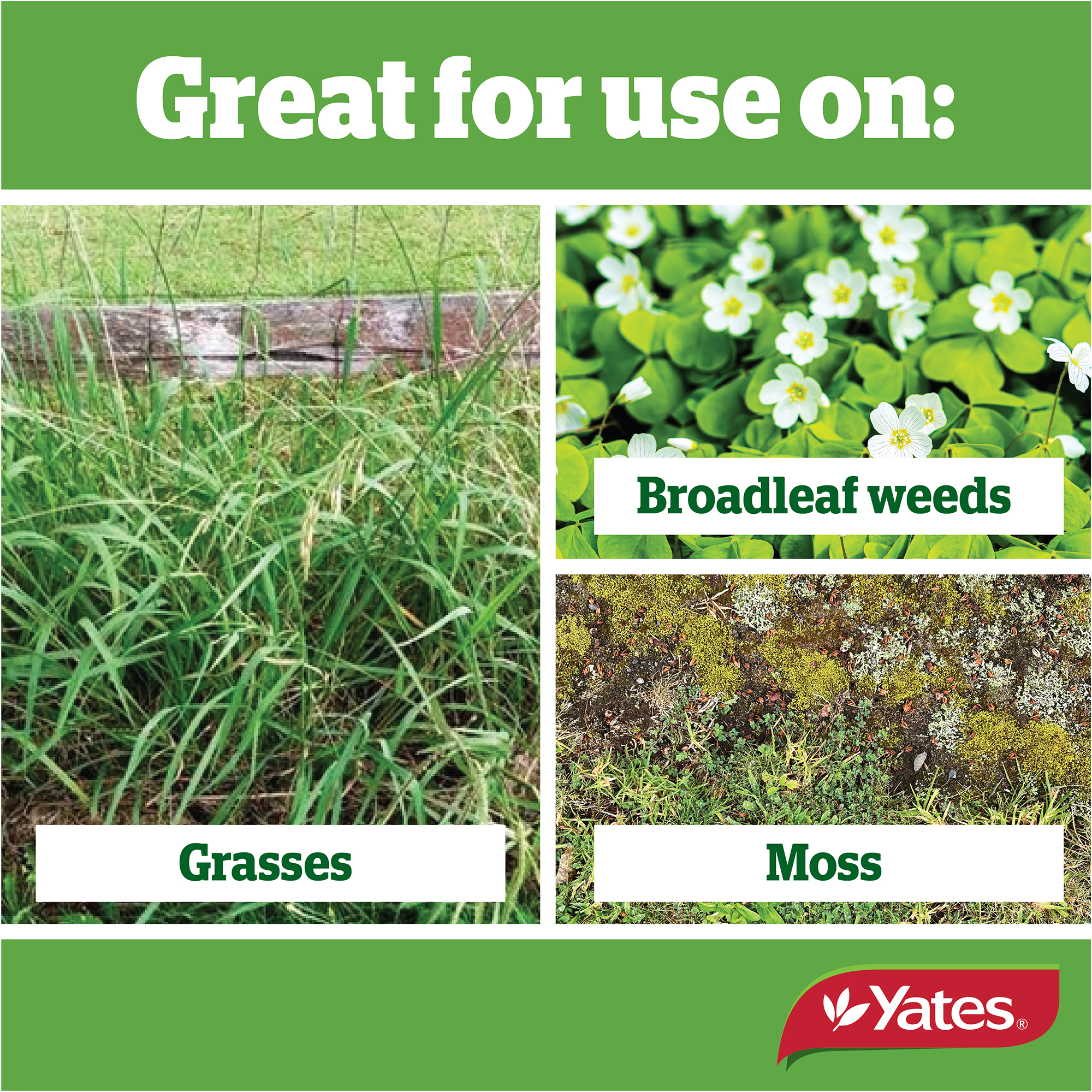 Yates Web Info ZERO RAPID V2 08