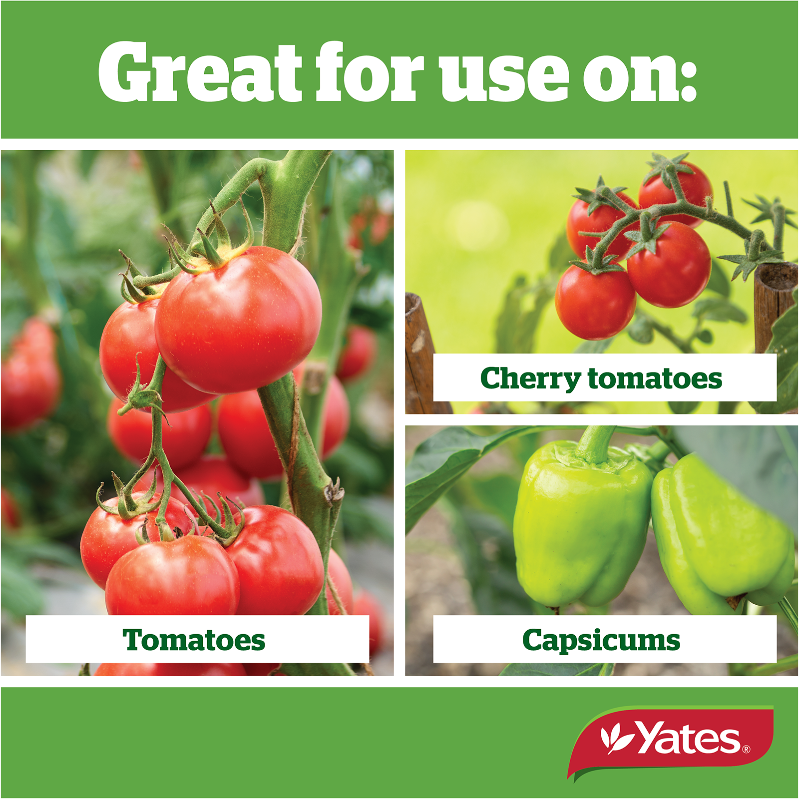 Yates Tomato Granulars V1 04