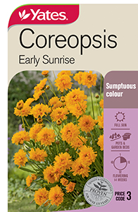 Yates Y35 977 Coreopsis Early Sunrise 2021