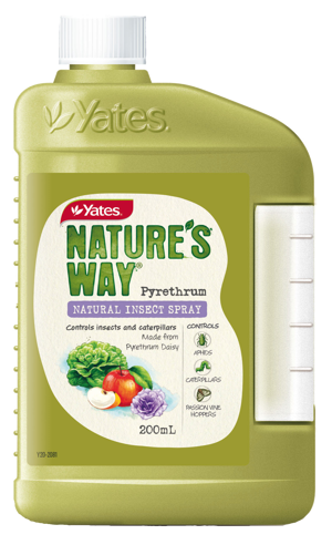 Yates Nature's Way Natural Insect Spray Pyrethrum - Concentrate
