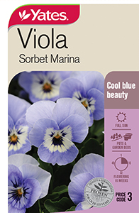 Viola 'Sorbet Marina'
