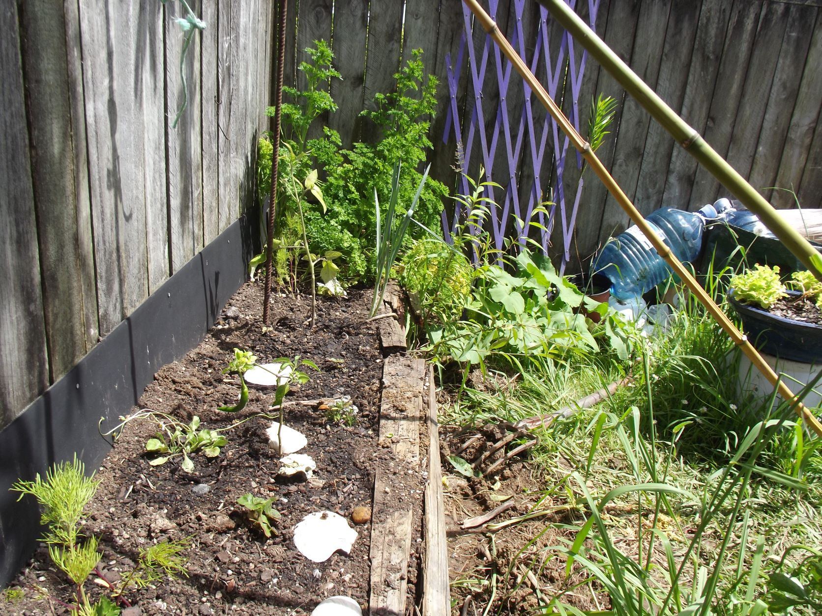 Getting there... WIP-the "kitchen" garden up by the studio