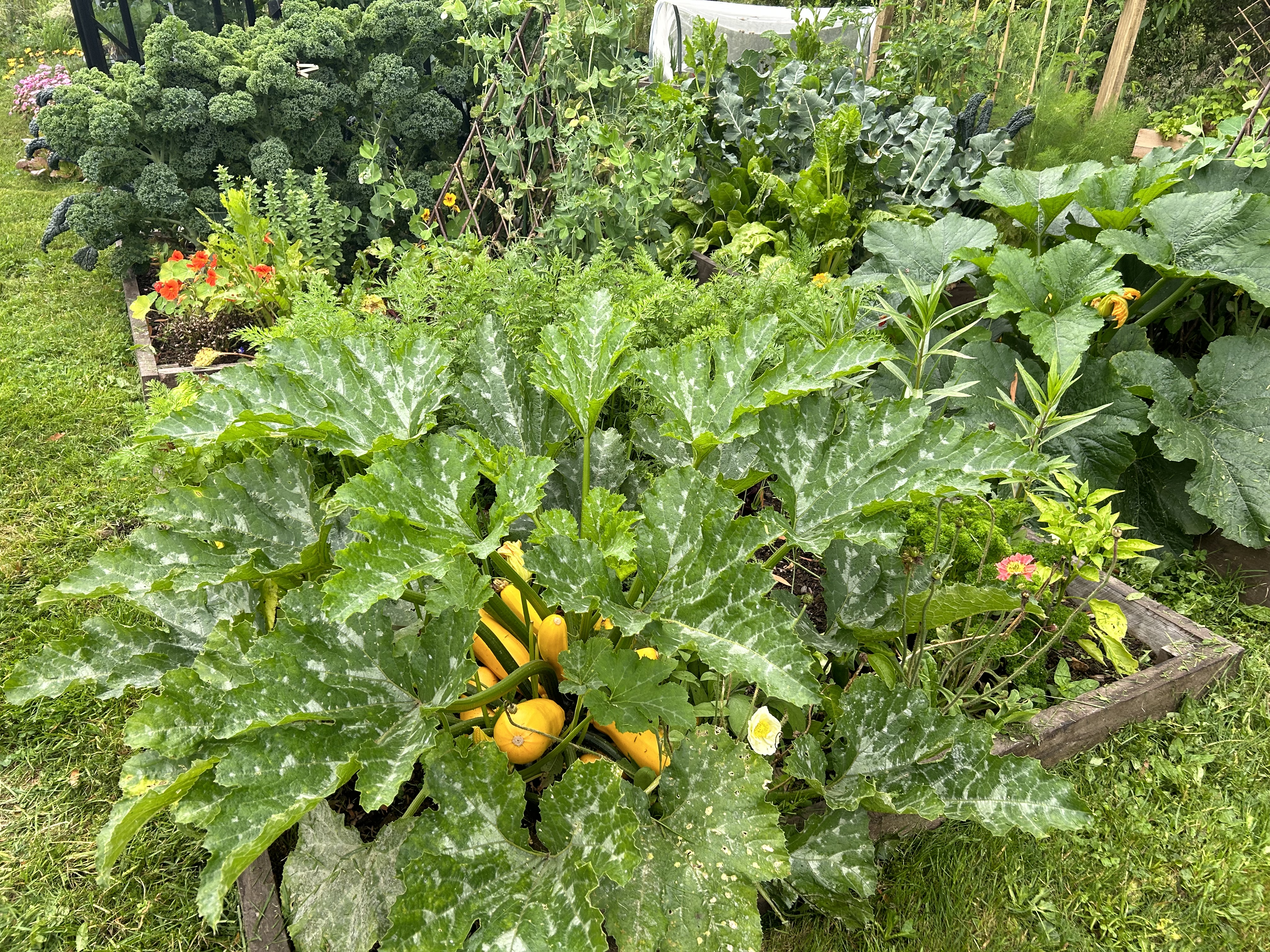 Not so much of a blog, more a request for Recipes! 