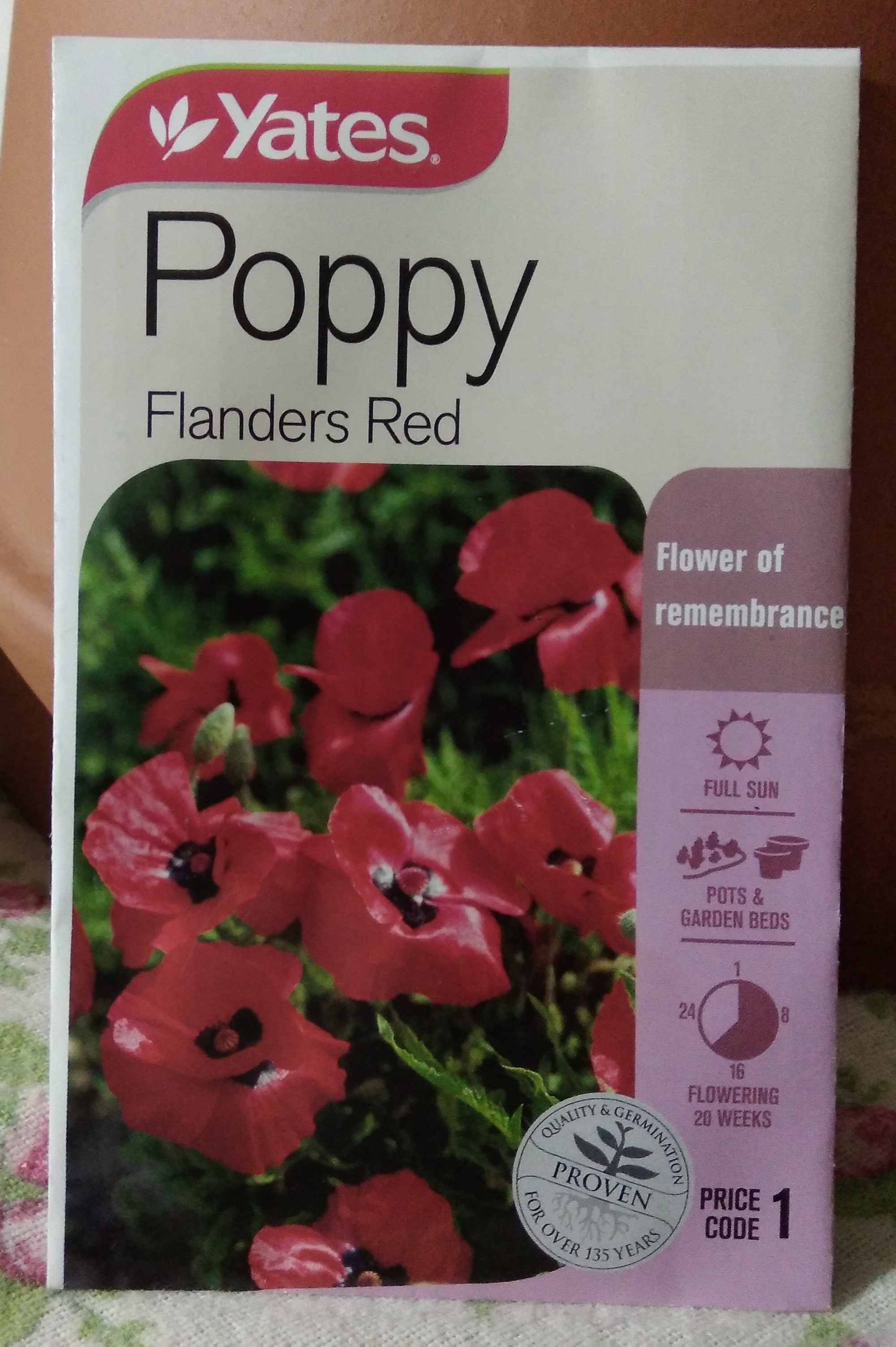 Making memories and autumn seeds for winter feeds ... 😁