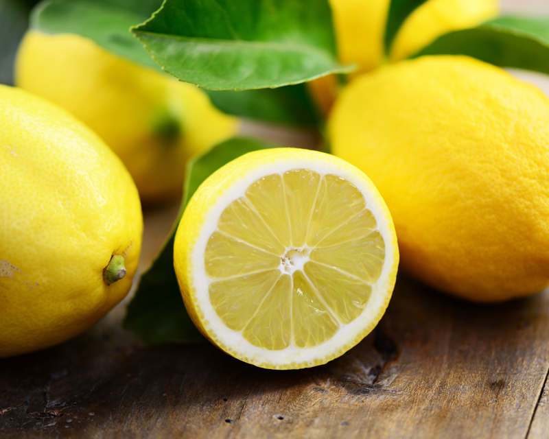 Everything You Need to Know About Lemon Trees