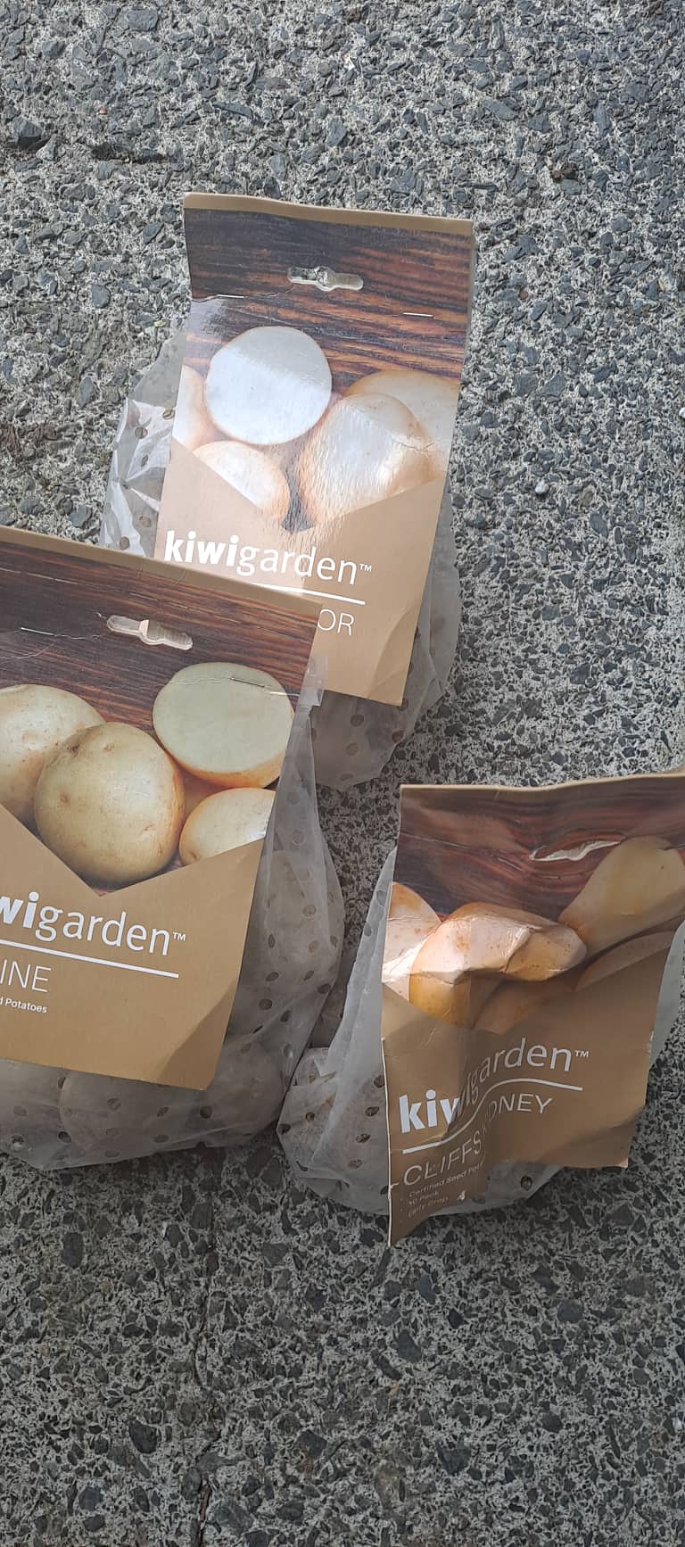 It Would Have Been Rude Not To