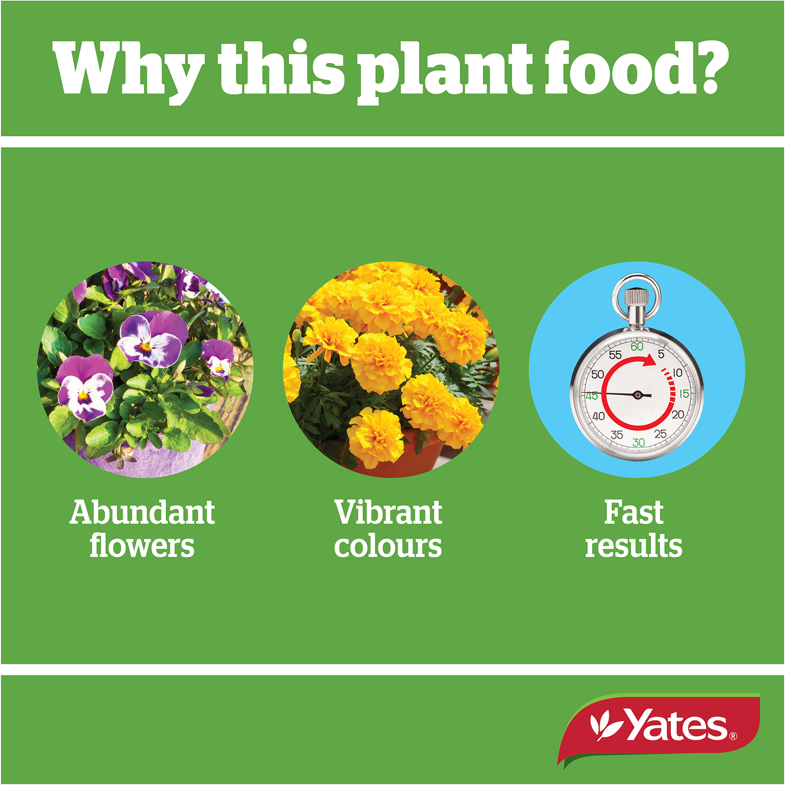 Yates Roses And Flowers Liquid V2 05