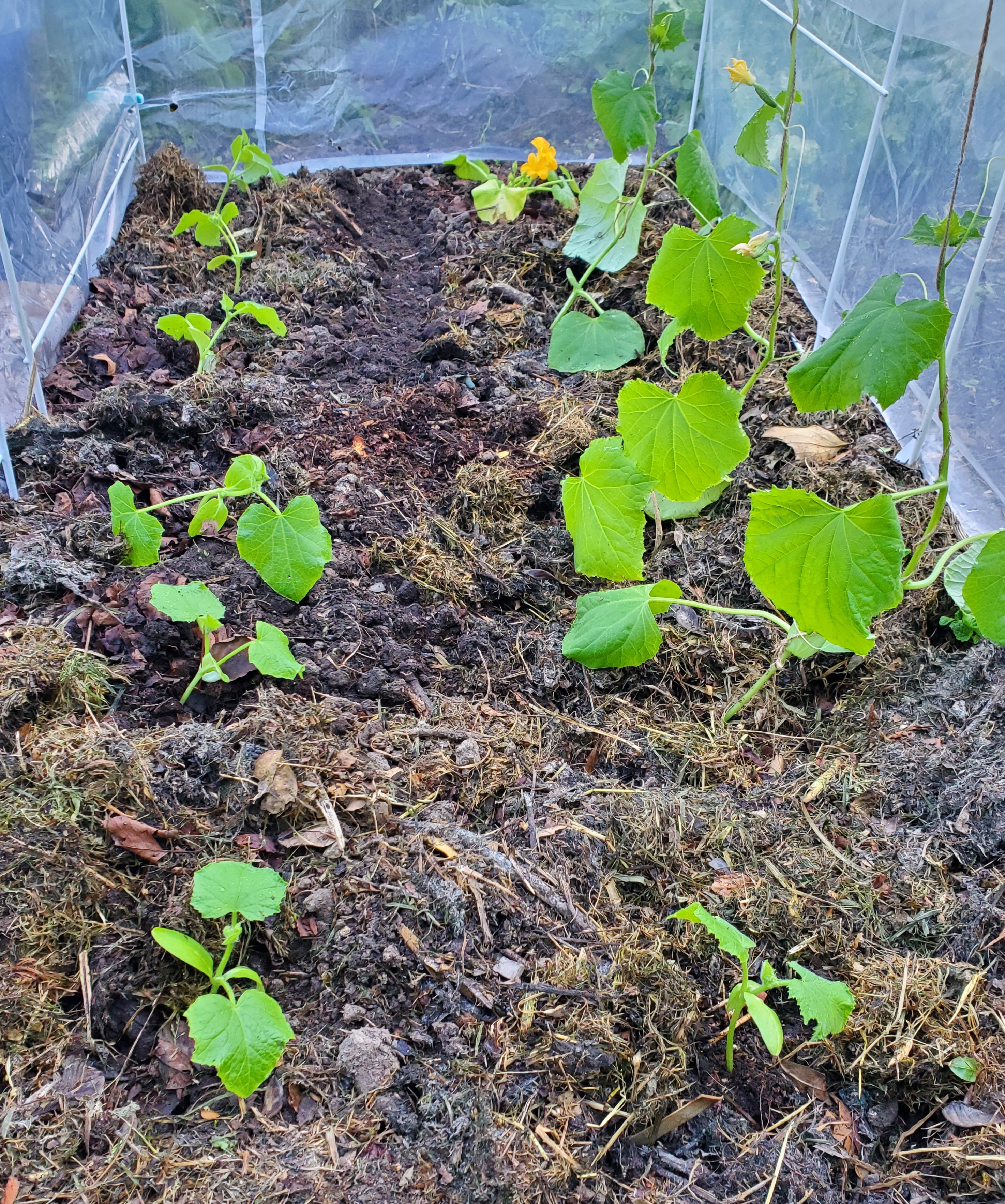 Some good old-fashioned dodgy DIY