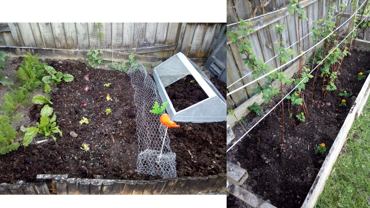 Resuming twilight gardening!