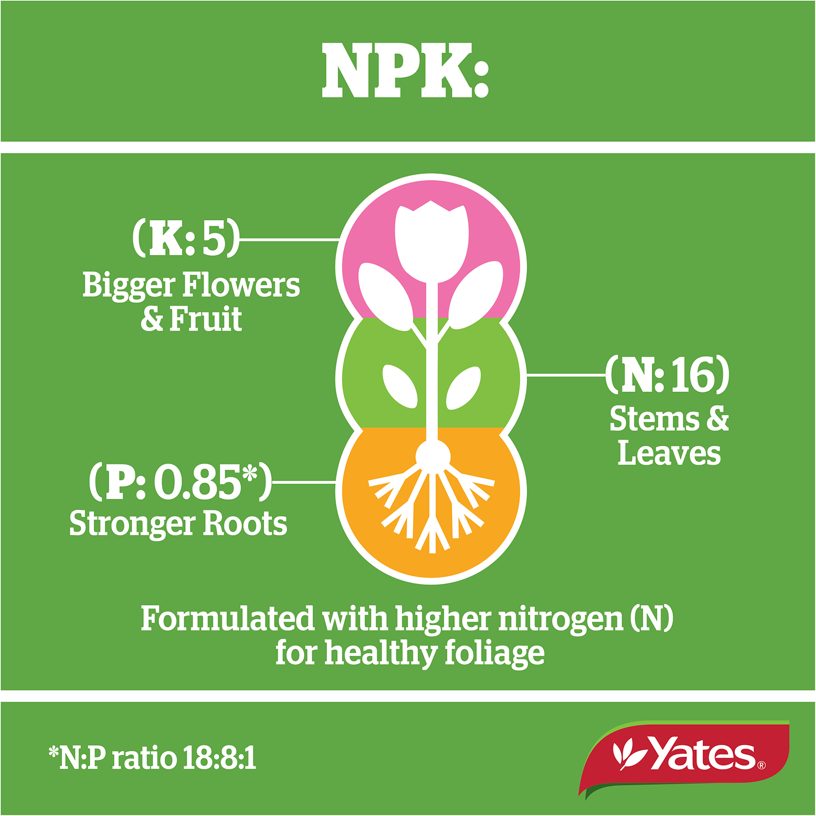 Yates Plant Spikes Indoor V2 08