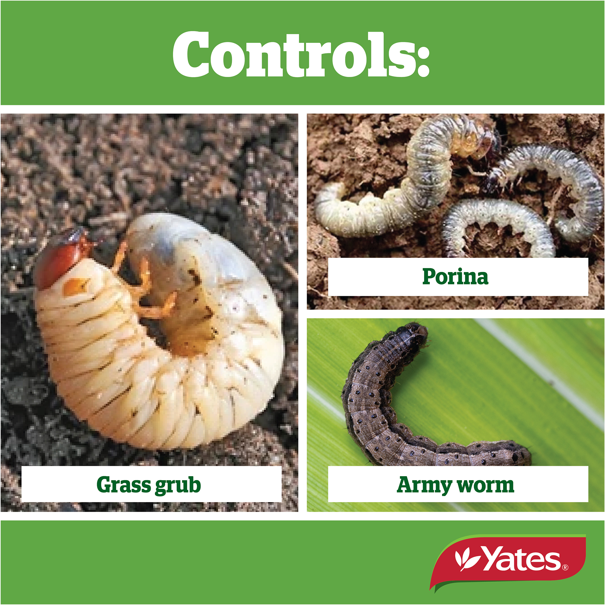 Yates Web Info GRUB Killerv2 03