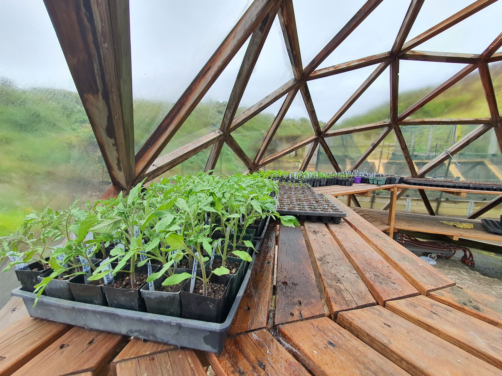 The First Encouragement Award