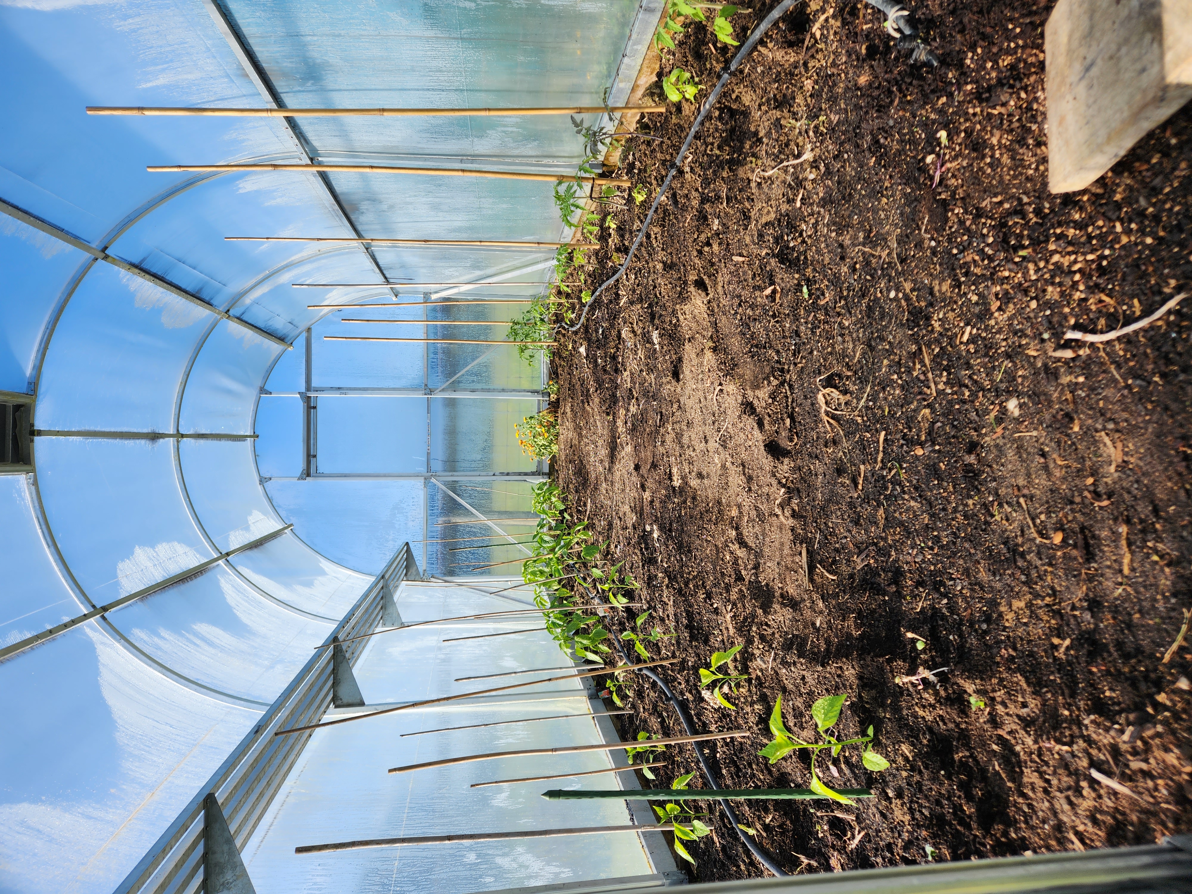  One Tunnel House Full to the Brim