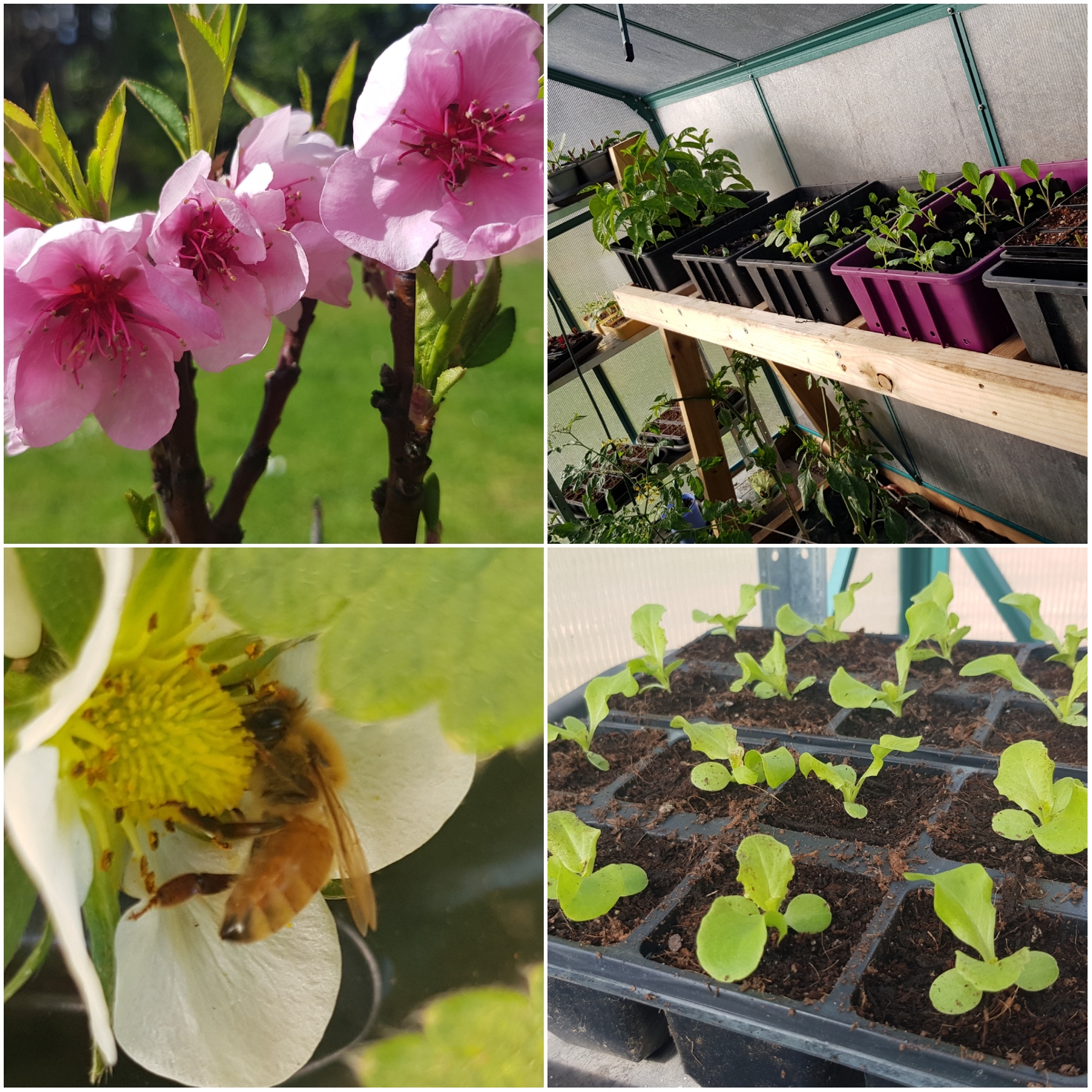 Oh it feels like Spring