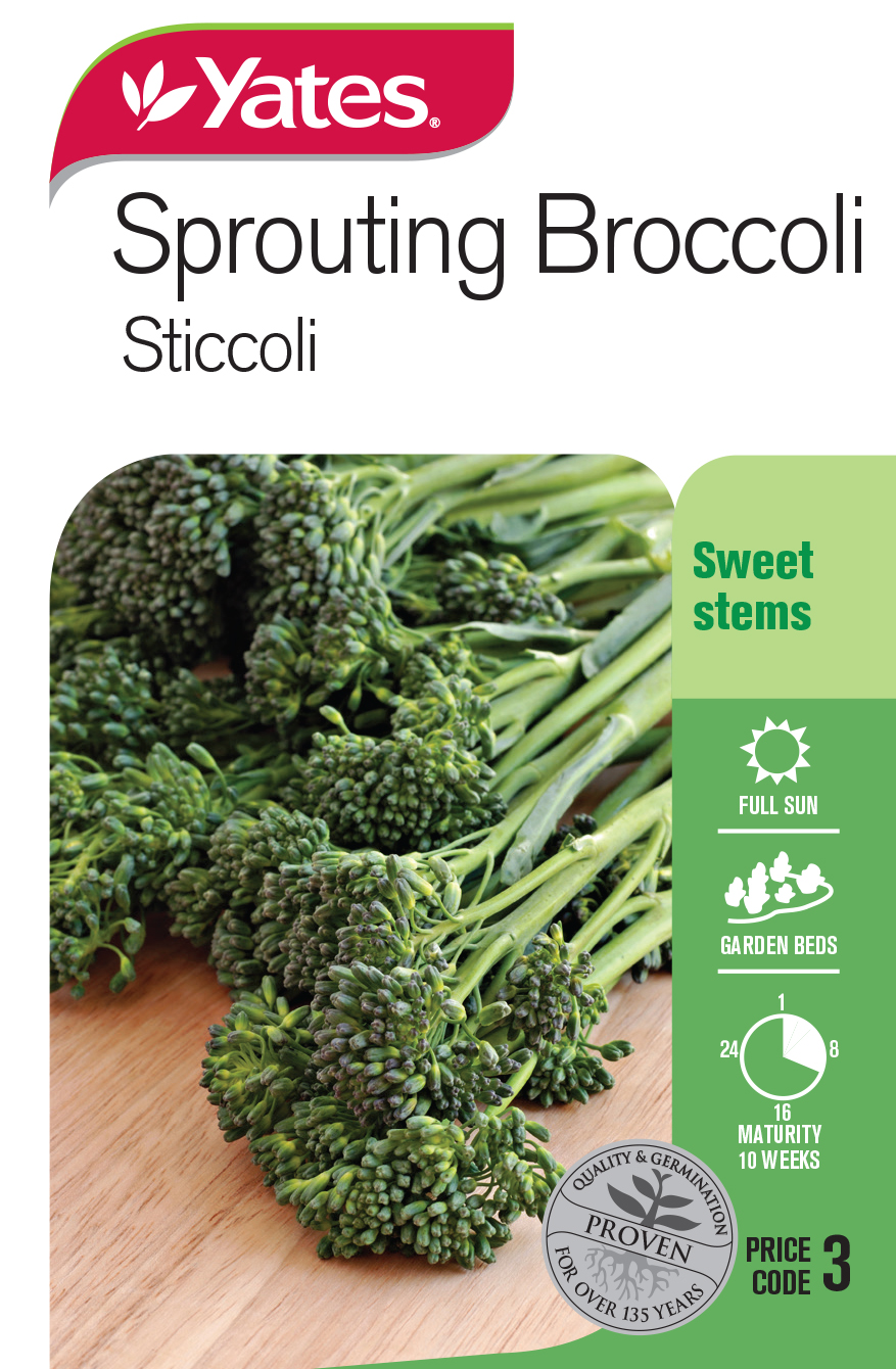 Sprouting Broccoli 'Sticcoli'