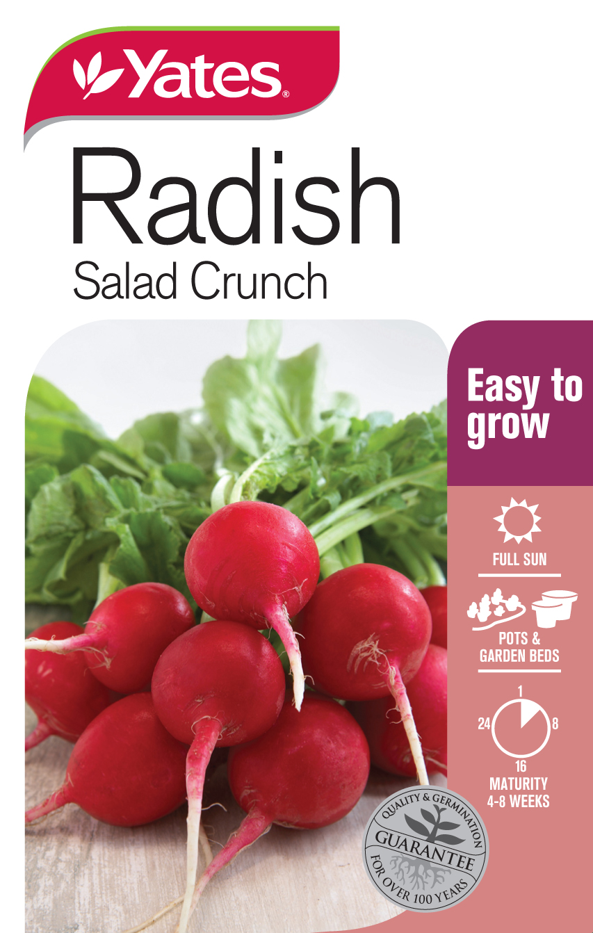 Radish 'Salad Crunch'