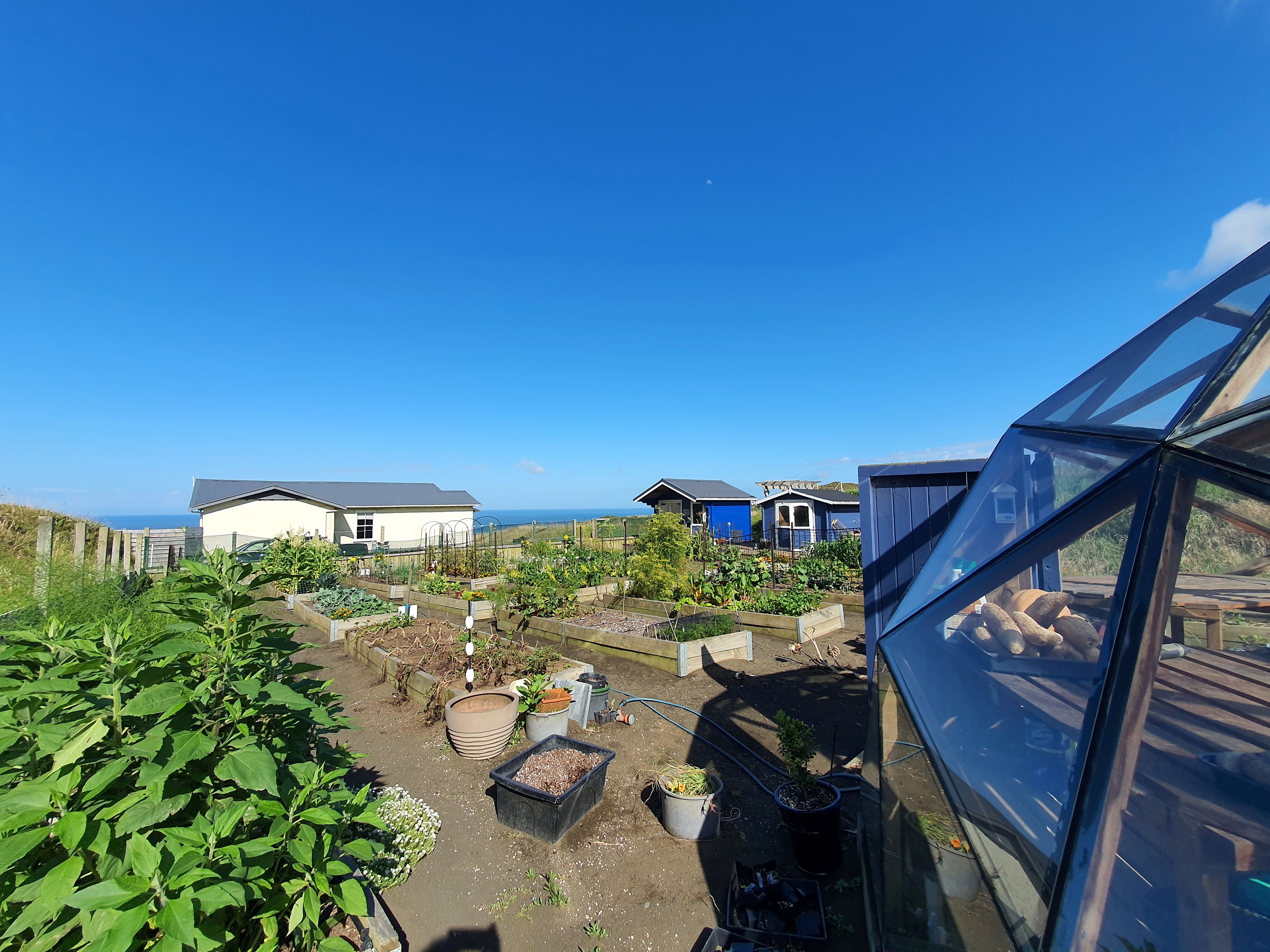 Starting off the year trying to look good