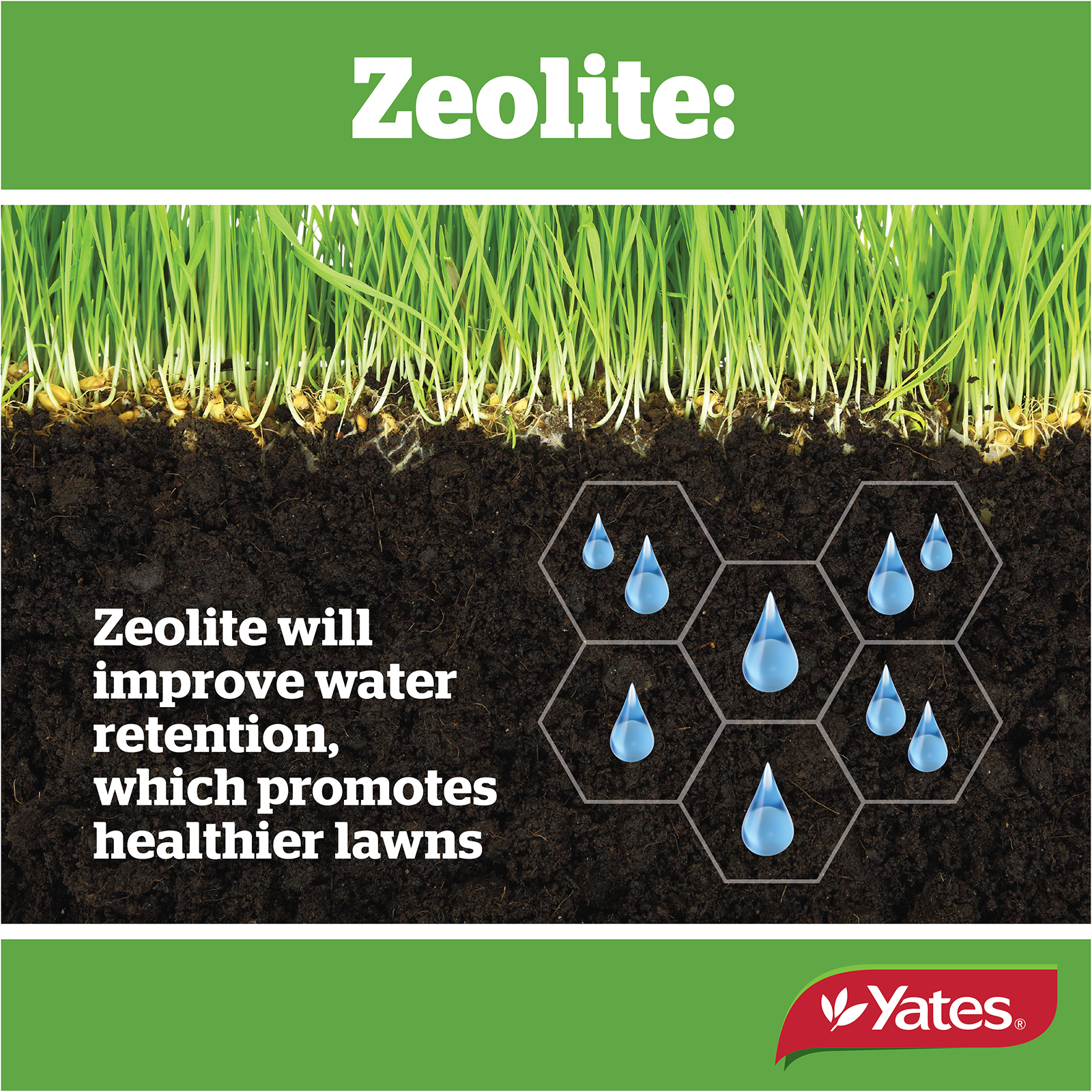 Yates Tall Fescue V2 08