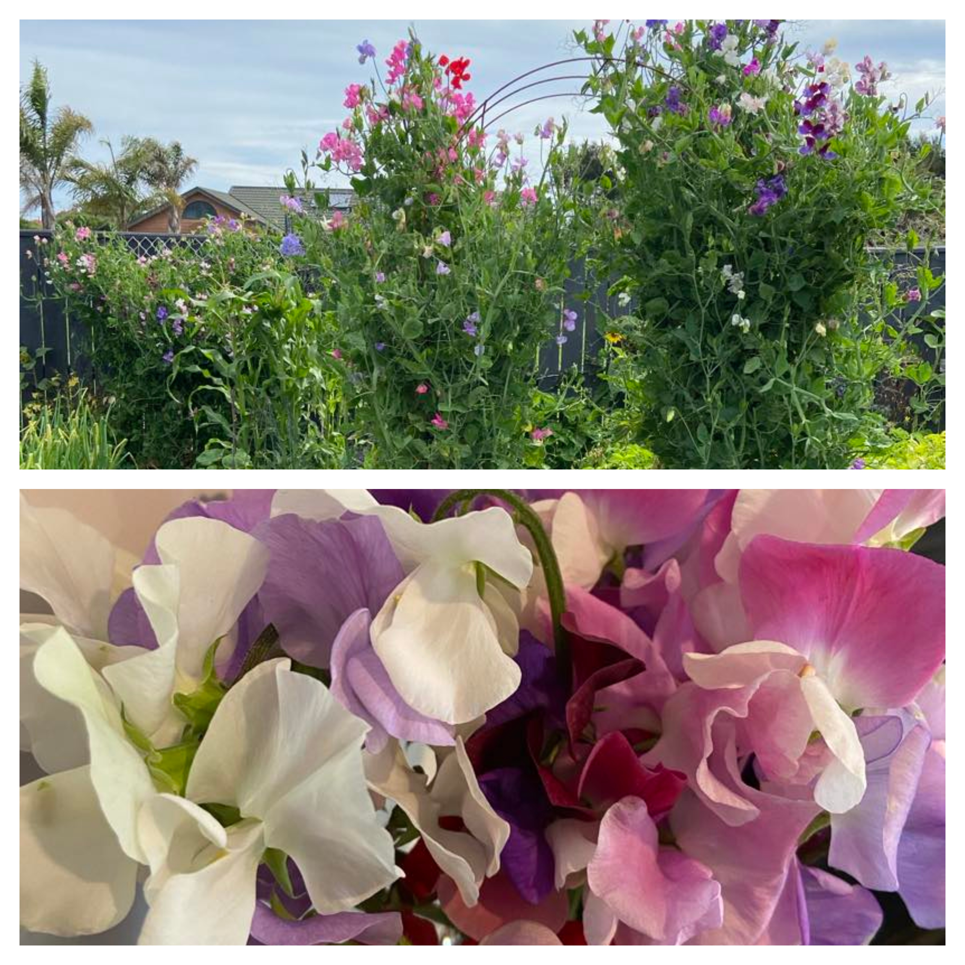 Beyond expectations.