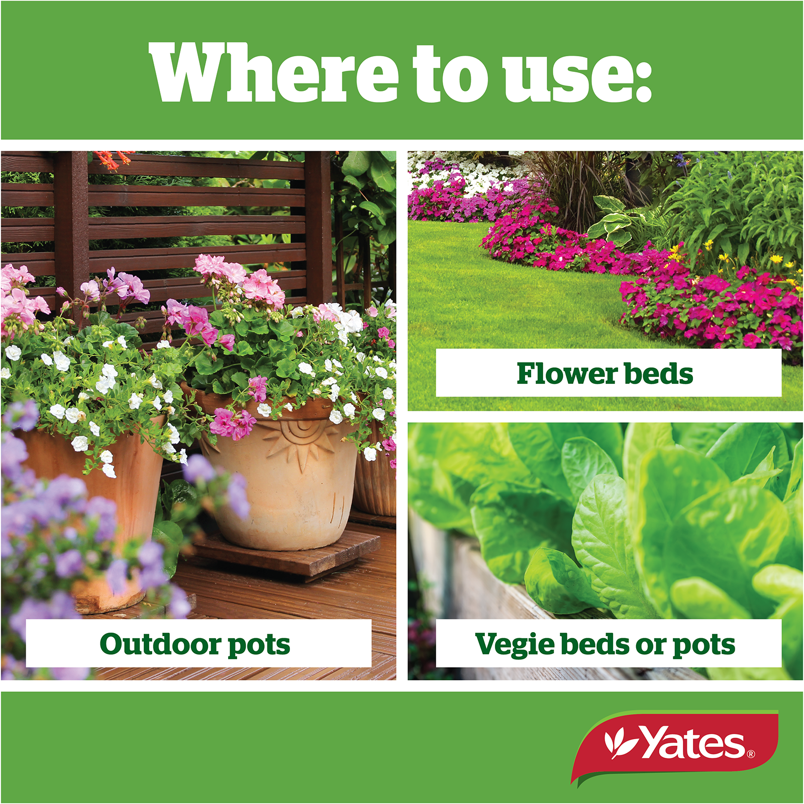 All Purpose 1Kg V1 05