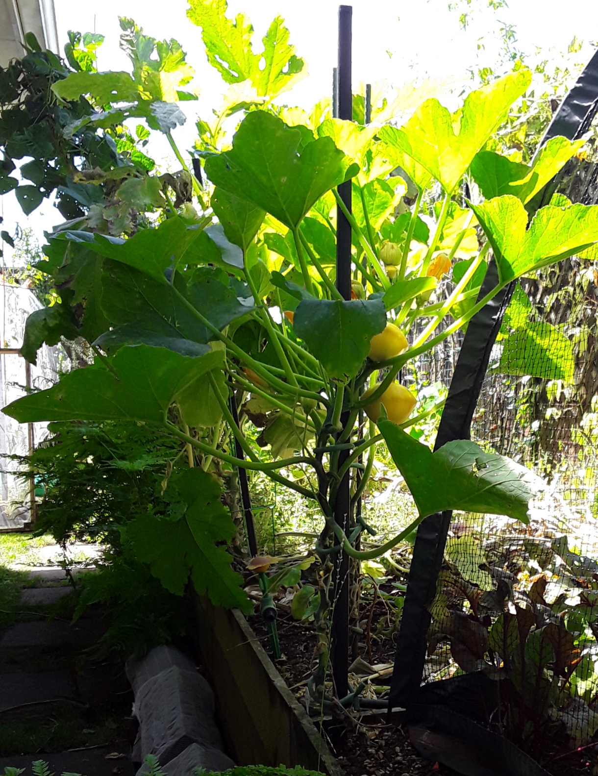 This week in summary.