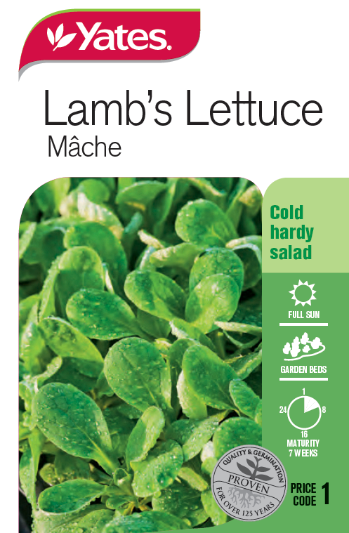 Lamb's Lettuce - Mâche