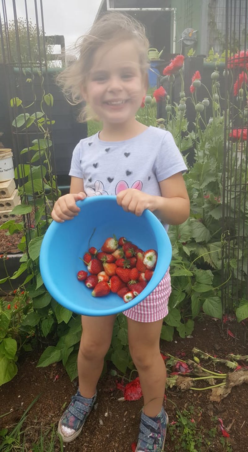 Sophie and the Strawberries