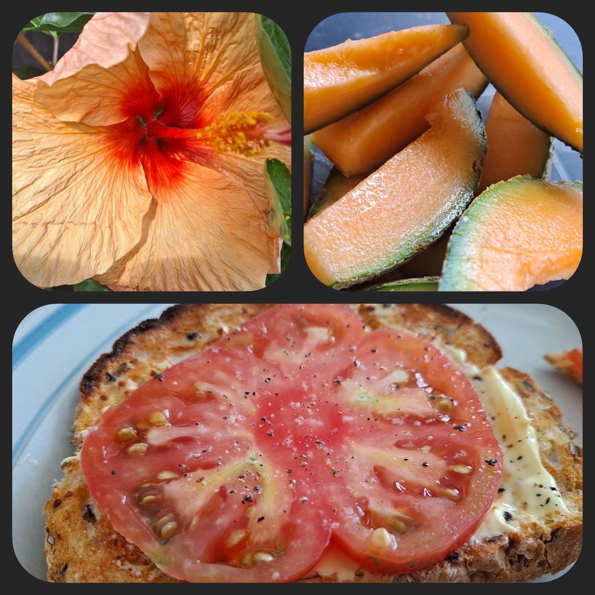 Perseverance Paying Off