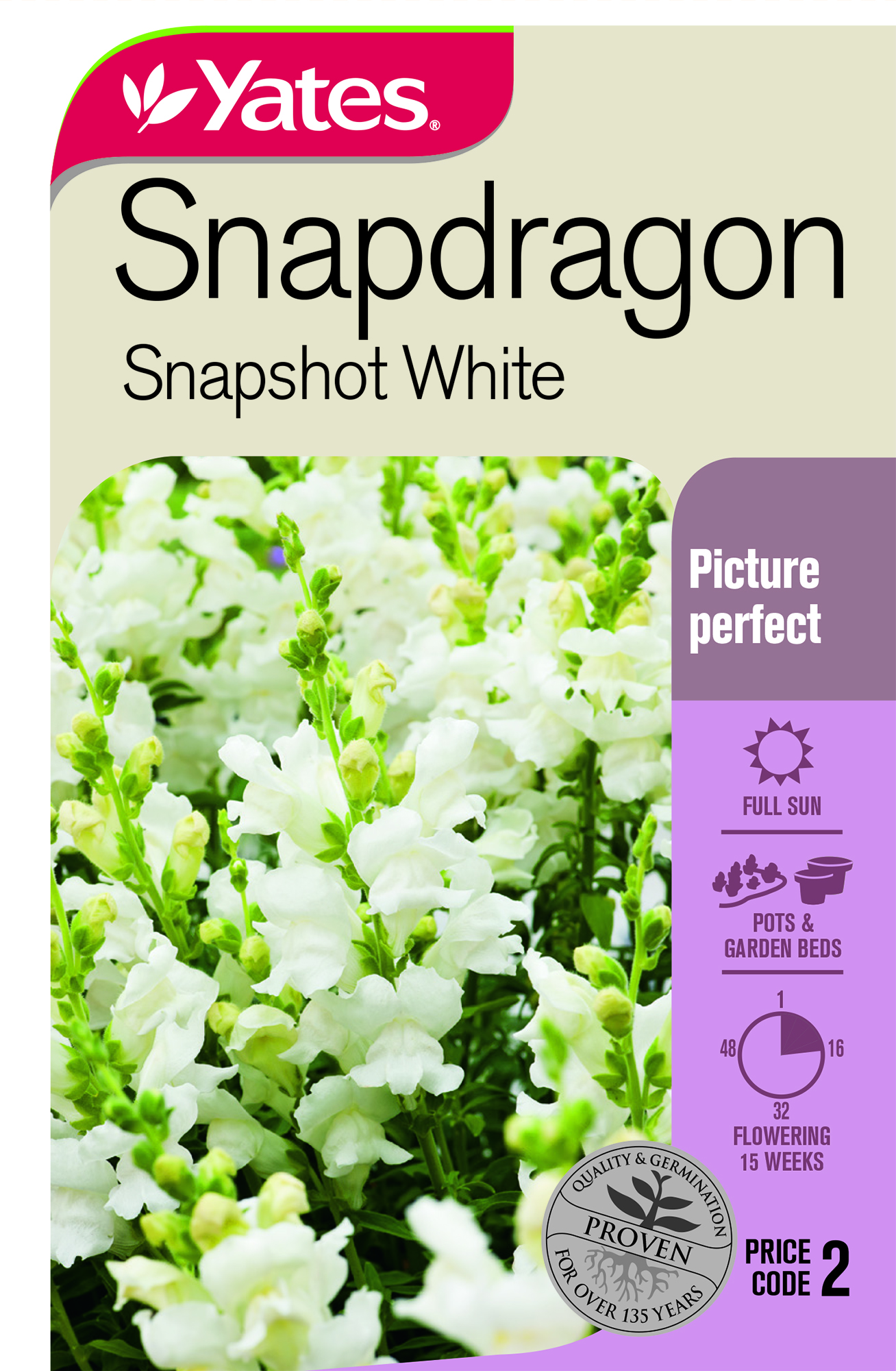 Snapdragon 'Snapshot White'