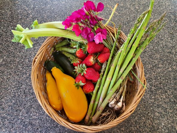 Friday Top Tips – The sweet spot of harvesting