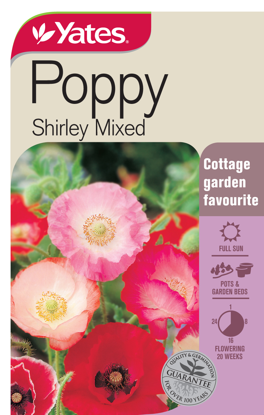 Poppy 'Shirley Mix'