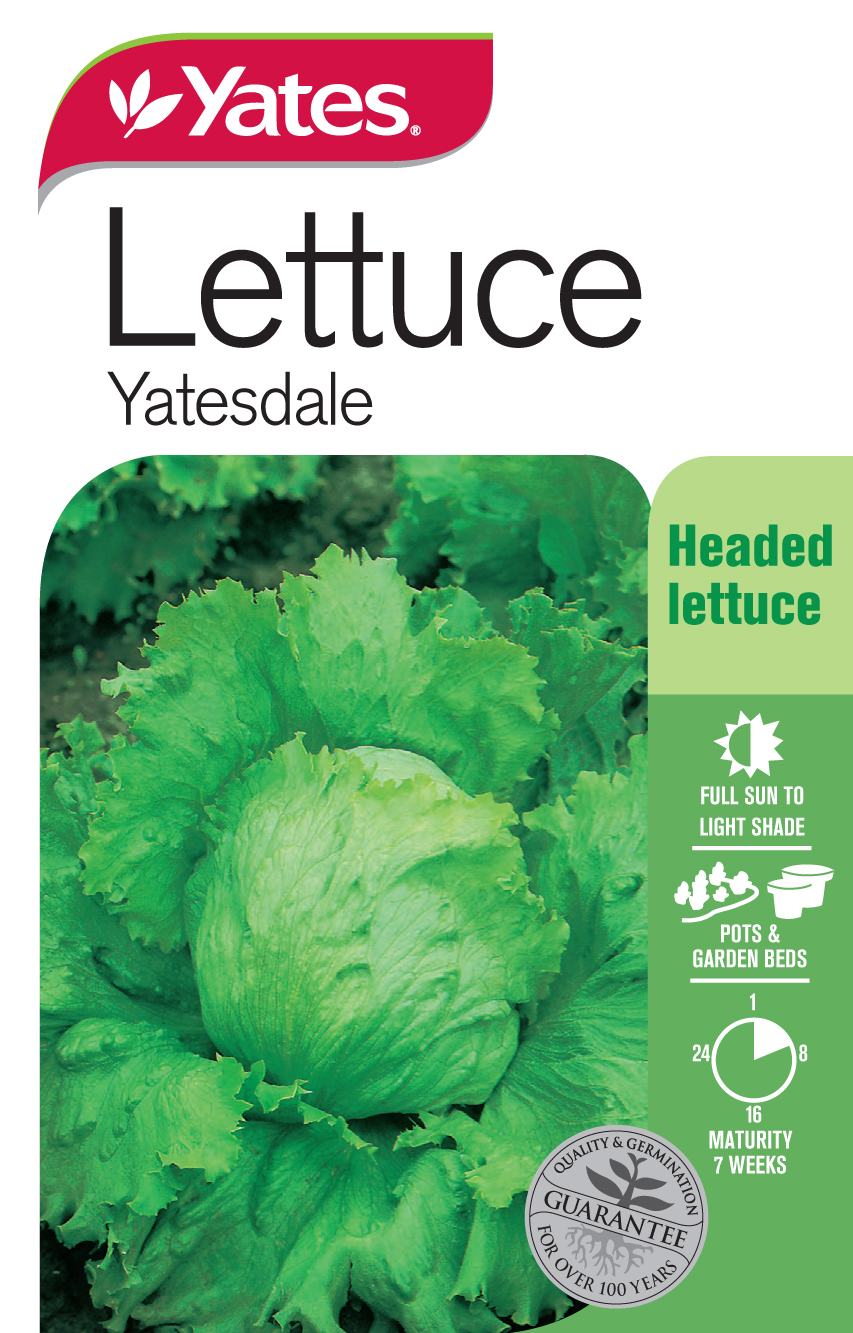 53473 Yates Vege Lettuce Yatesdale Packet Seed