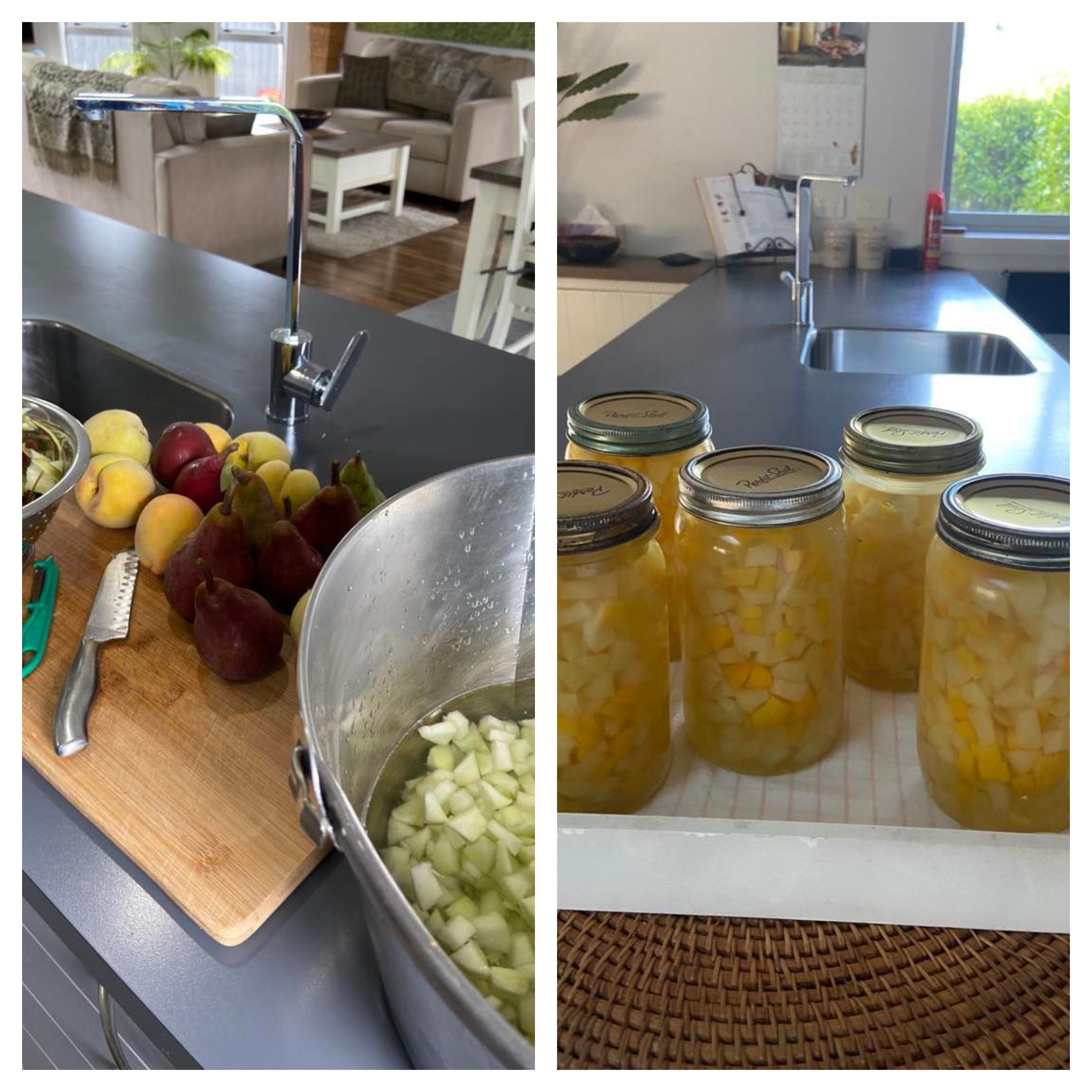 Preserving the Harvest Part 4 - Fruit Salad