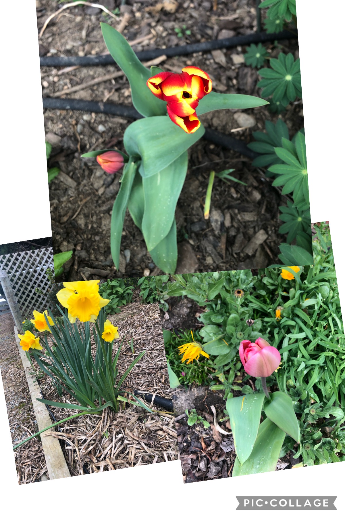 Meet the neighbour nomination