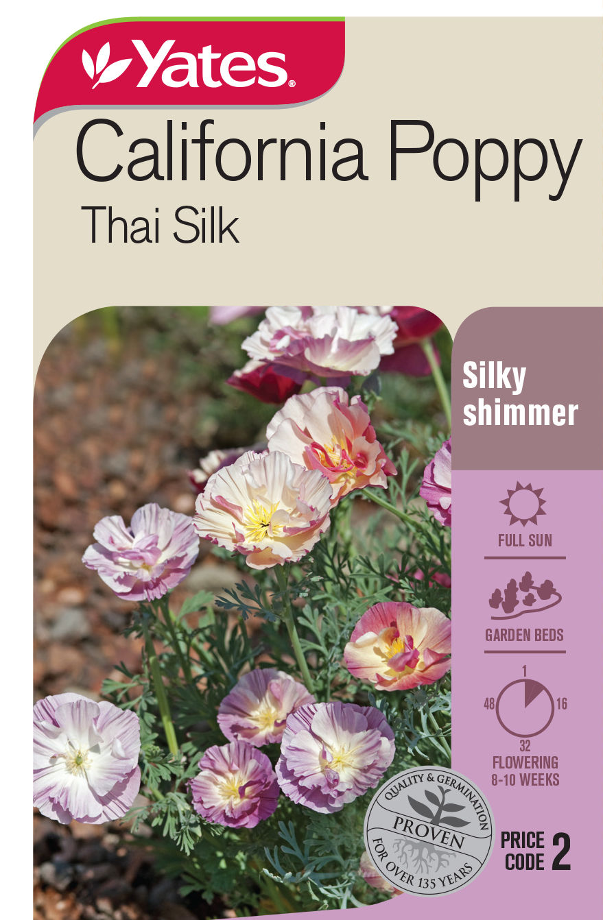 California Poppy 'Thai Silk'