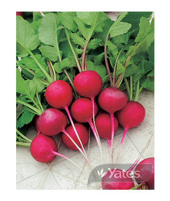 Radish Bell Organic Product
