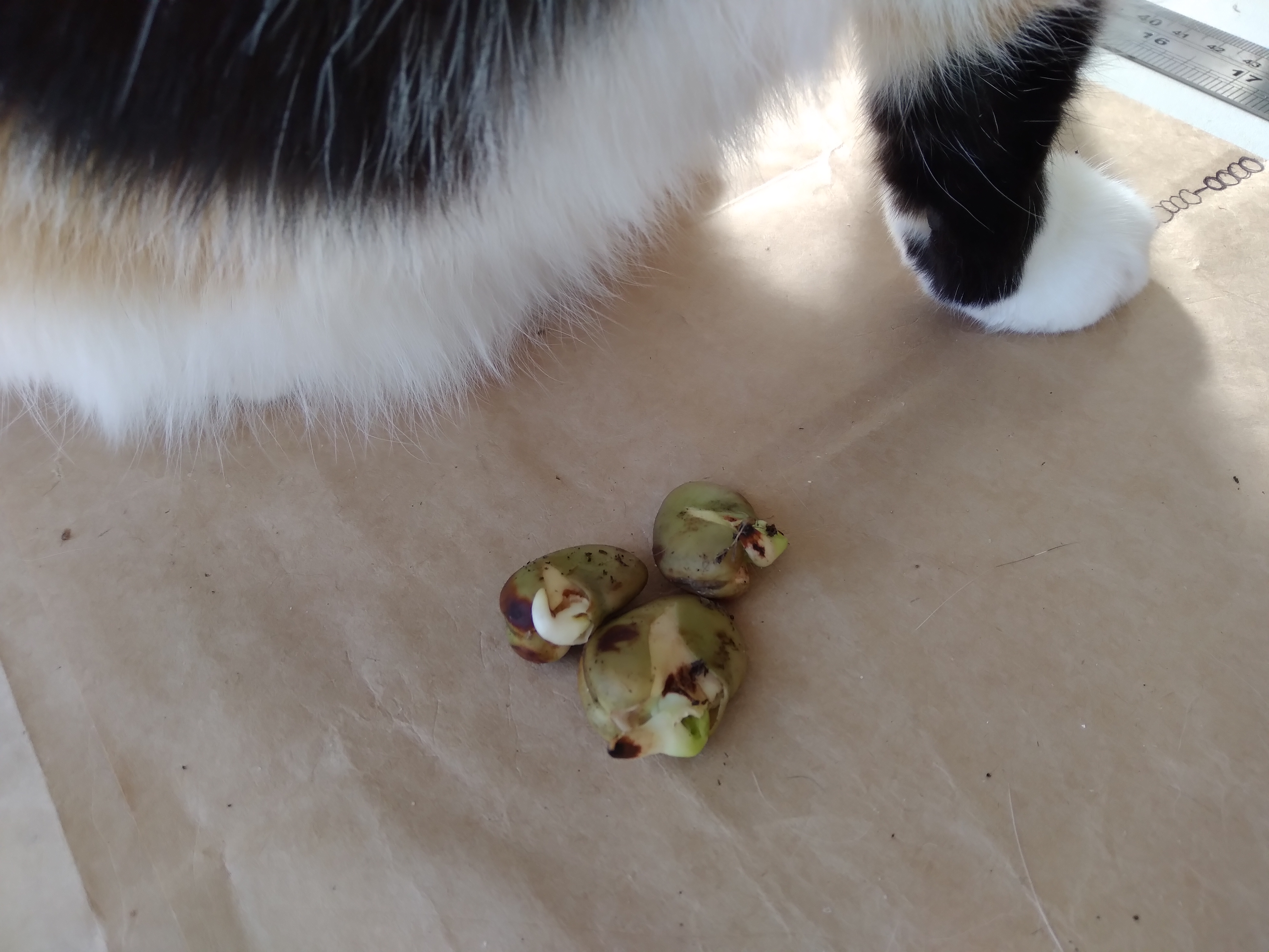 In sickness and in health part 2 ... 