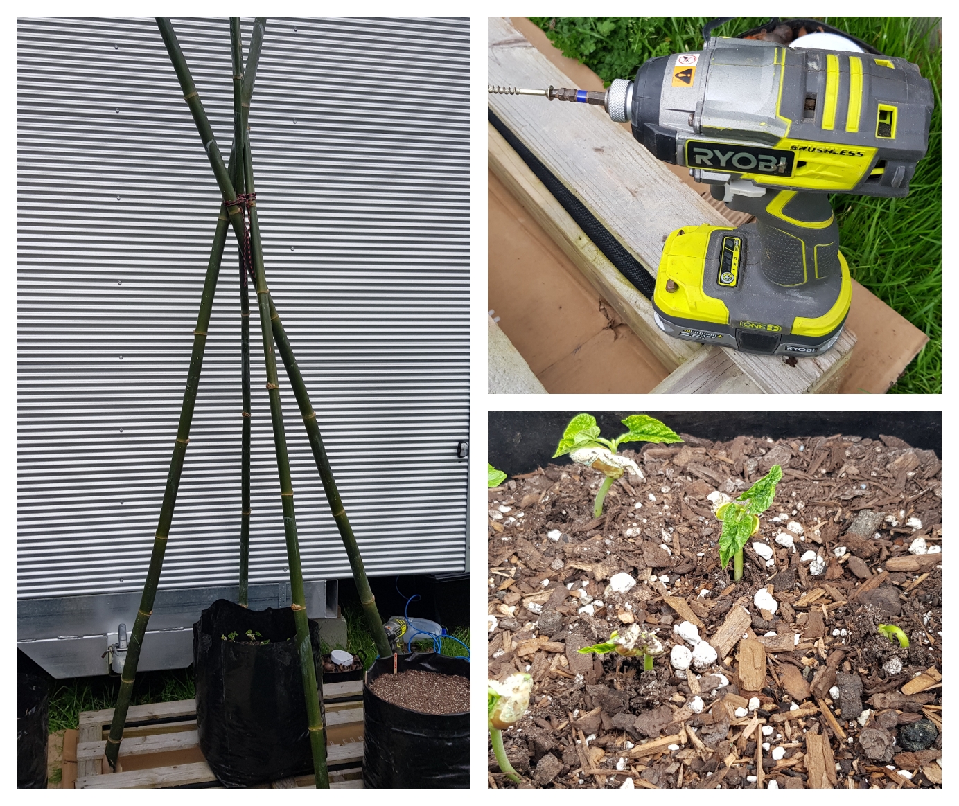 Batten Down The Hatches