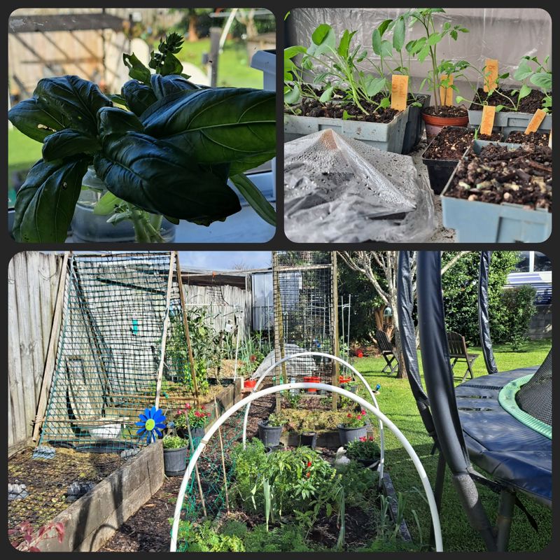 Autumn Update