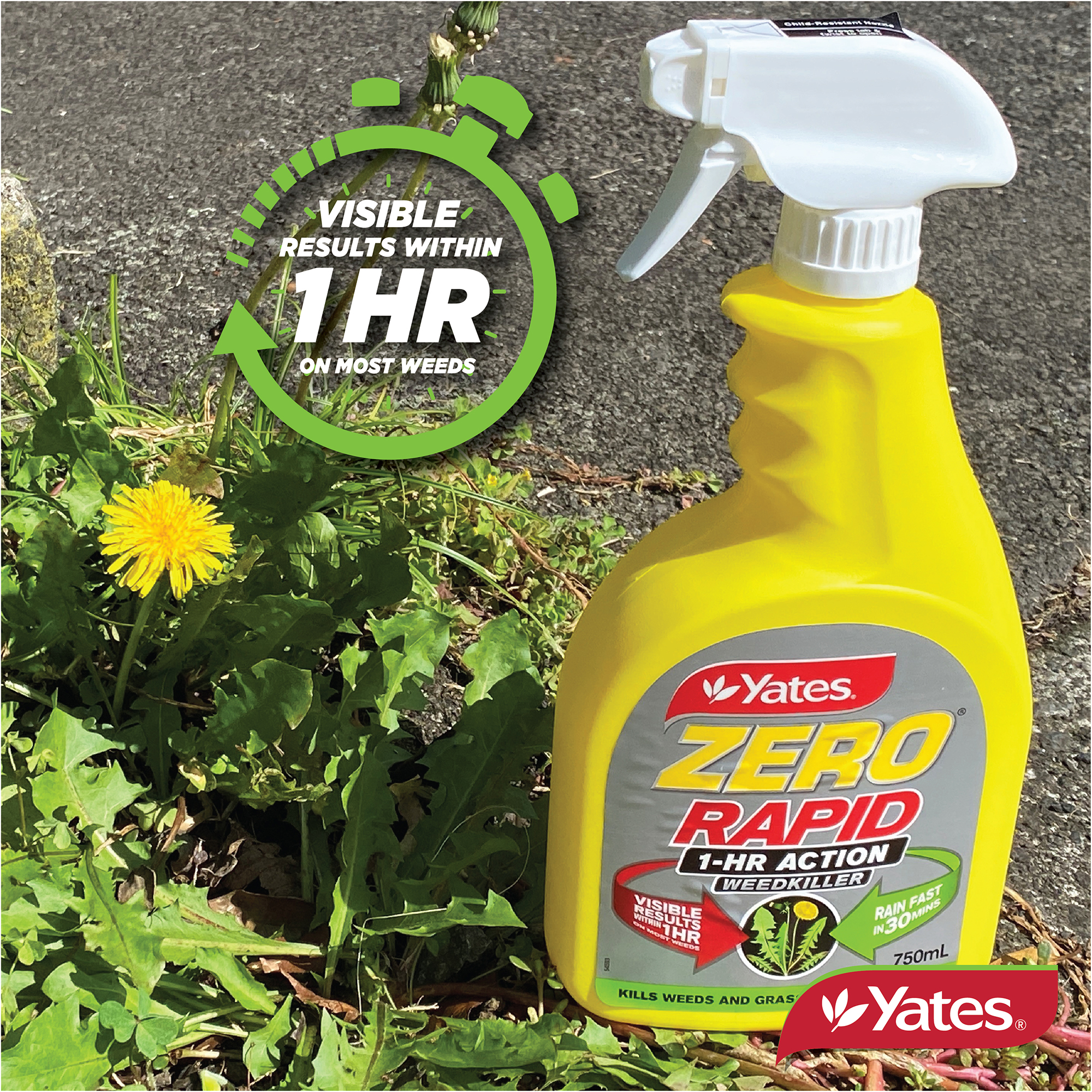 Yates Web Info ZERO RAPID V2 17