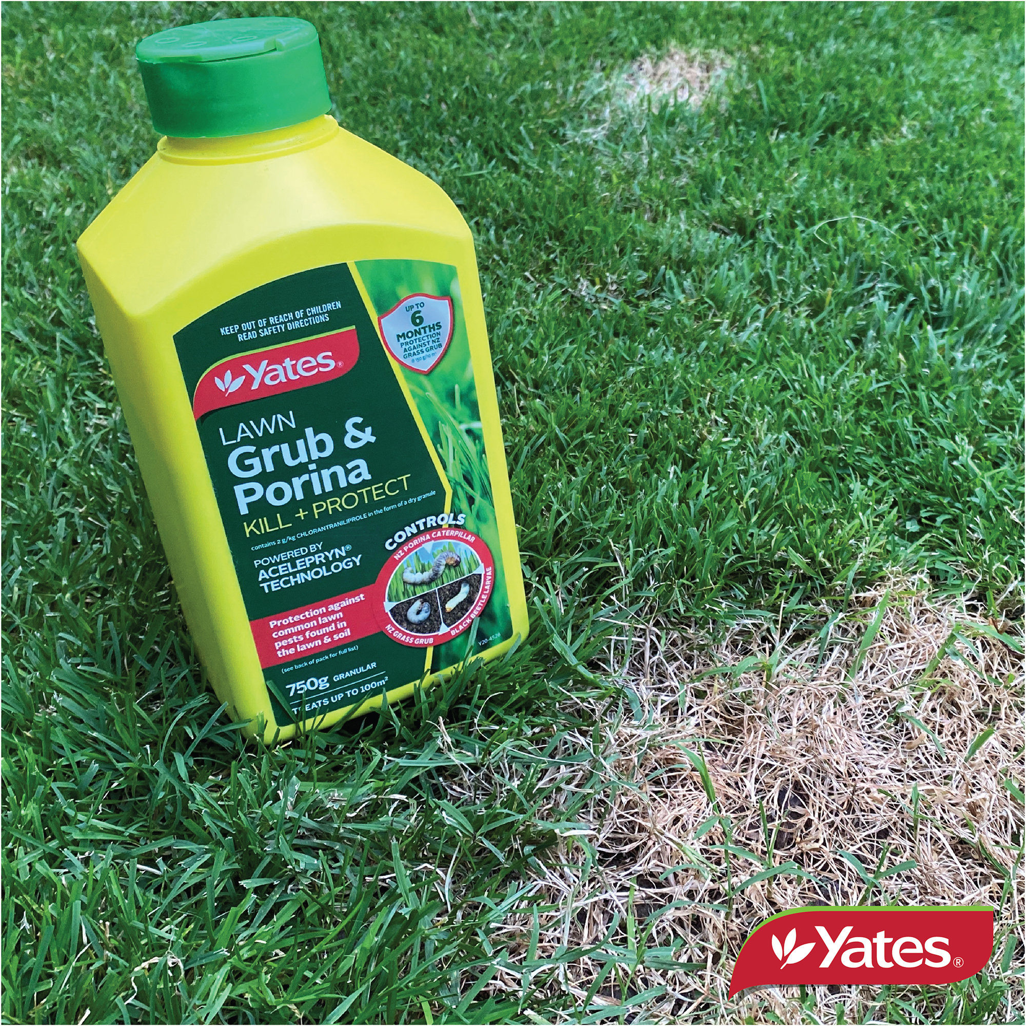 Yates Web Info GRUB Killerv2 07