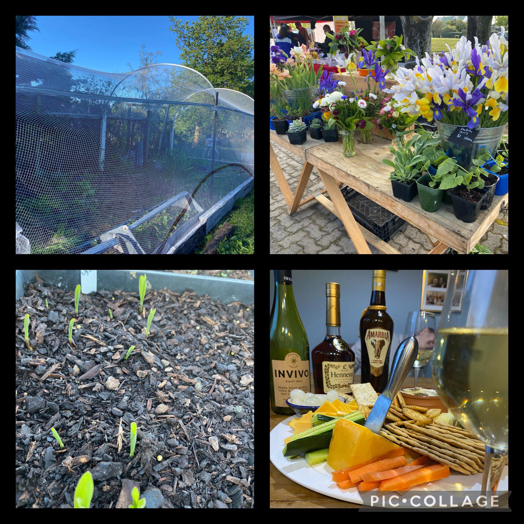 Love when plans come together 