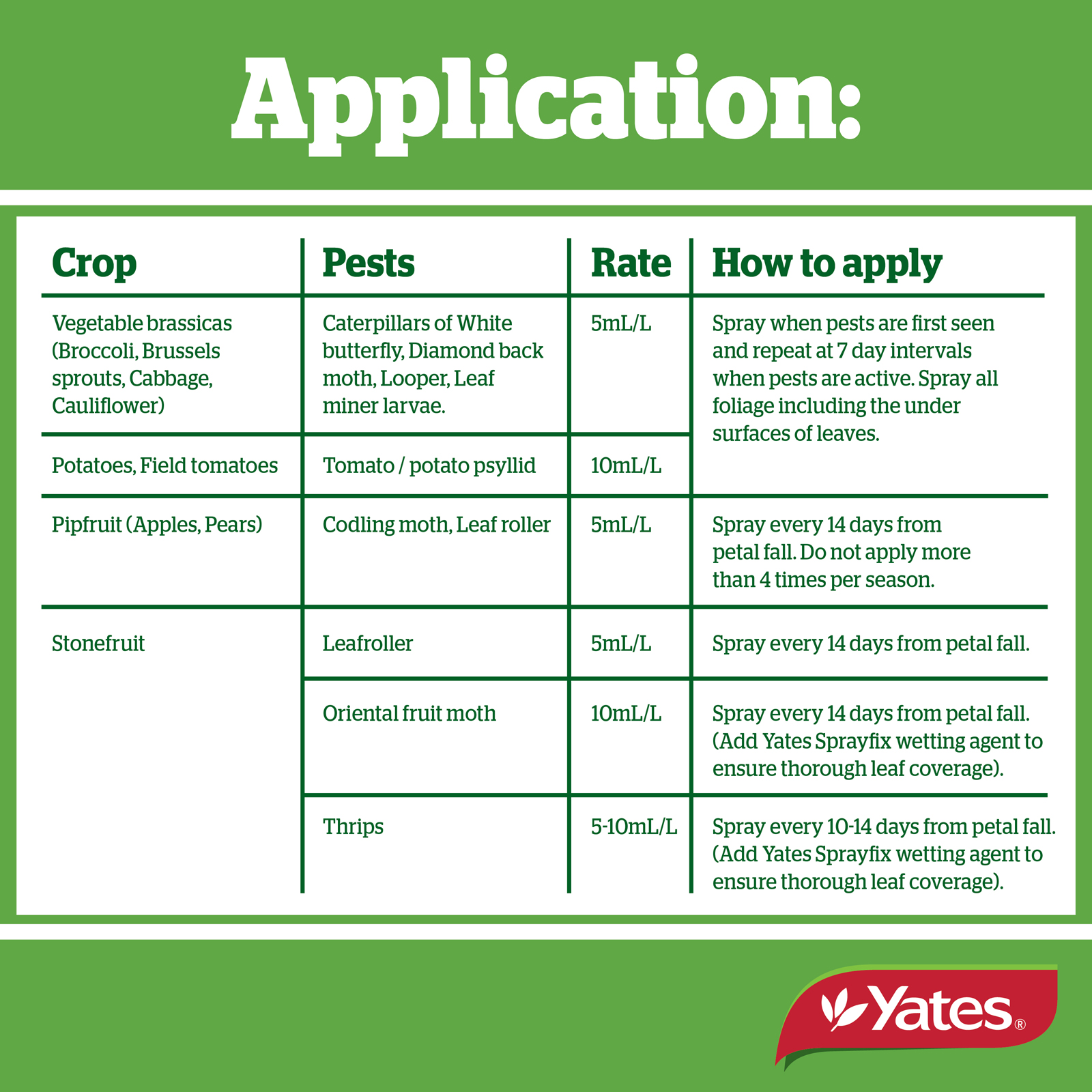 Yates Web Info SUCCESS ULTRA V2 05