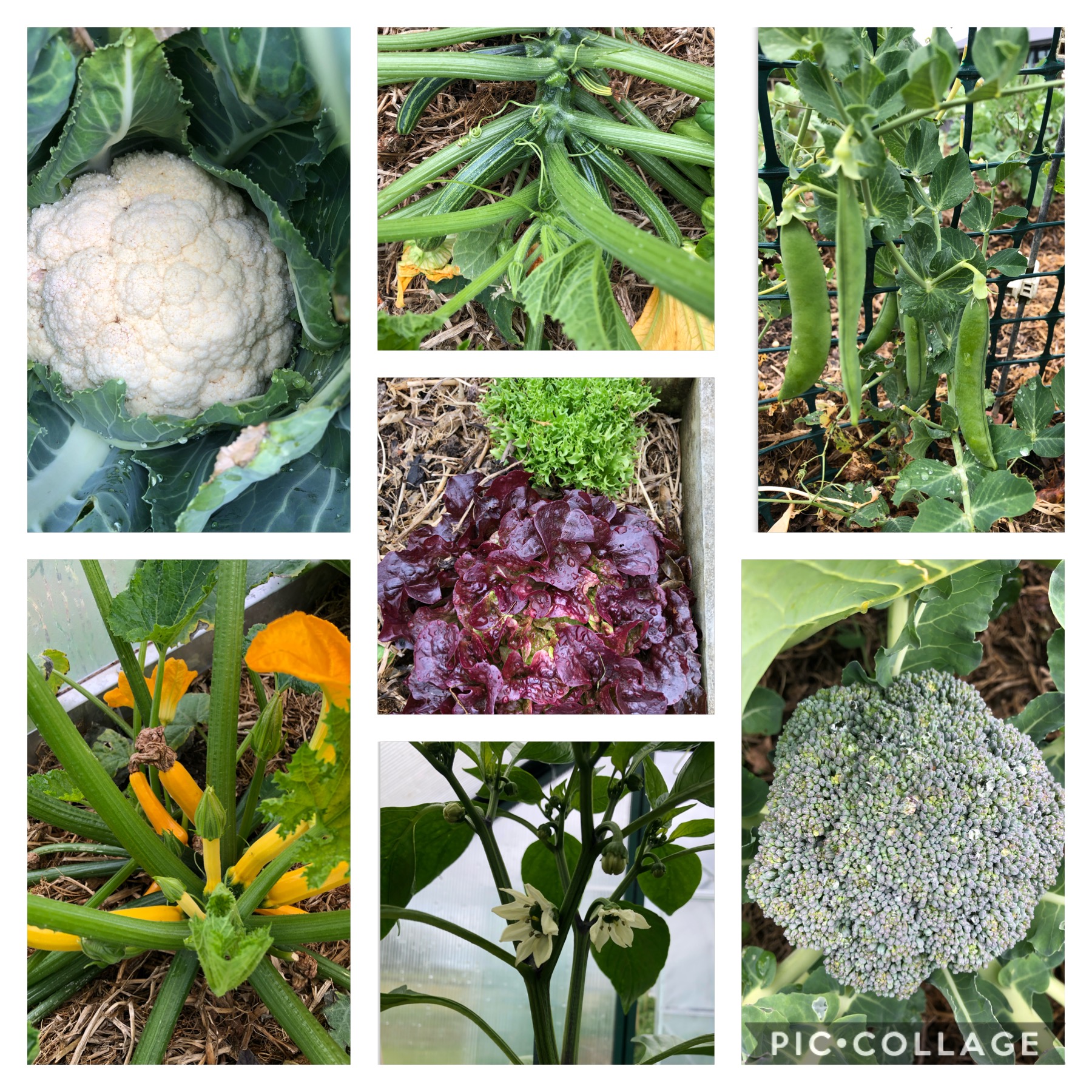 Things are humming along nicely