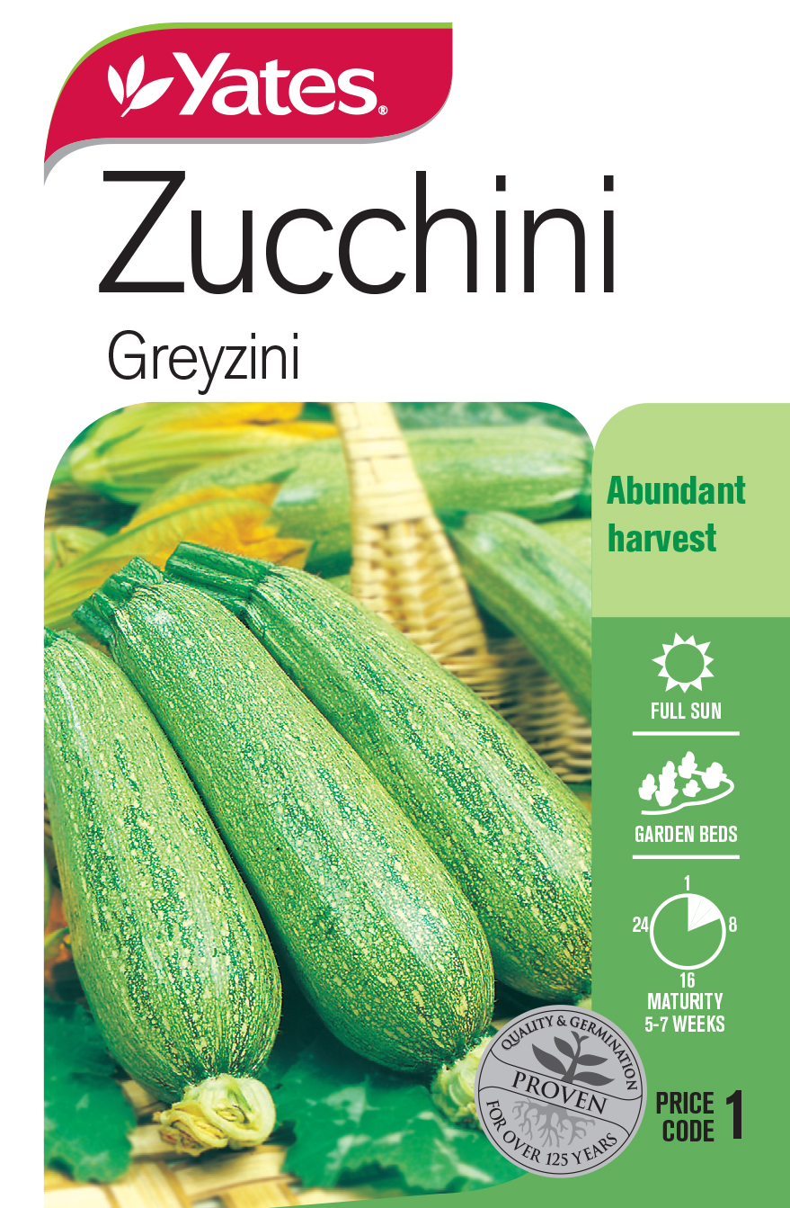 Zucchini 'Greyzini'