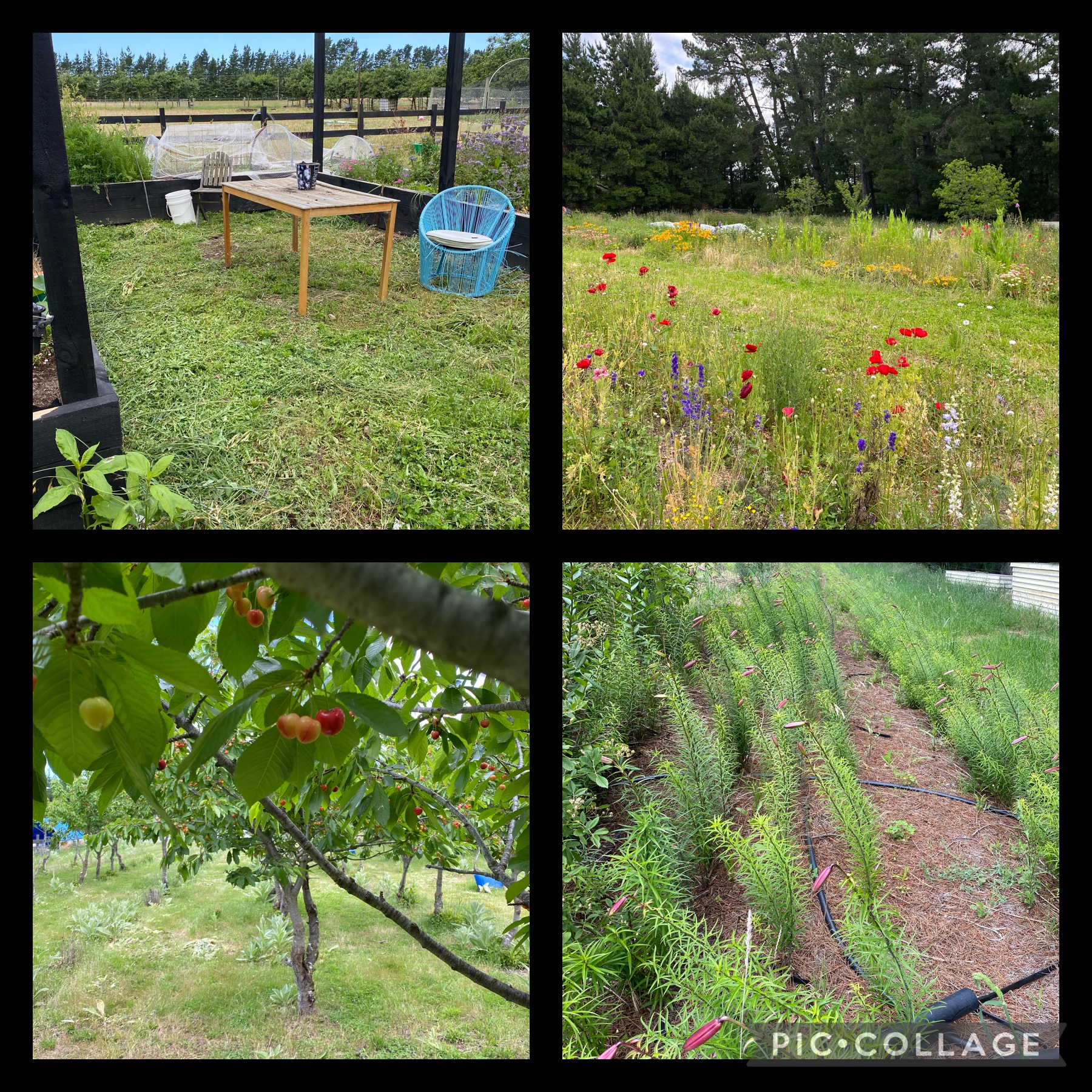 Admitting I need some help . 