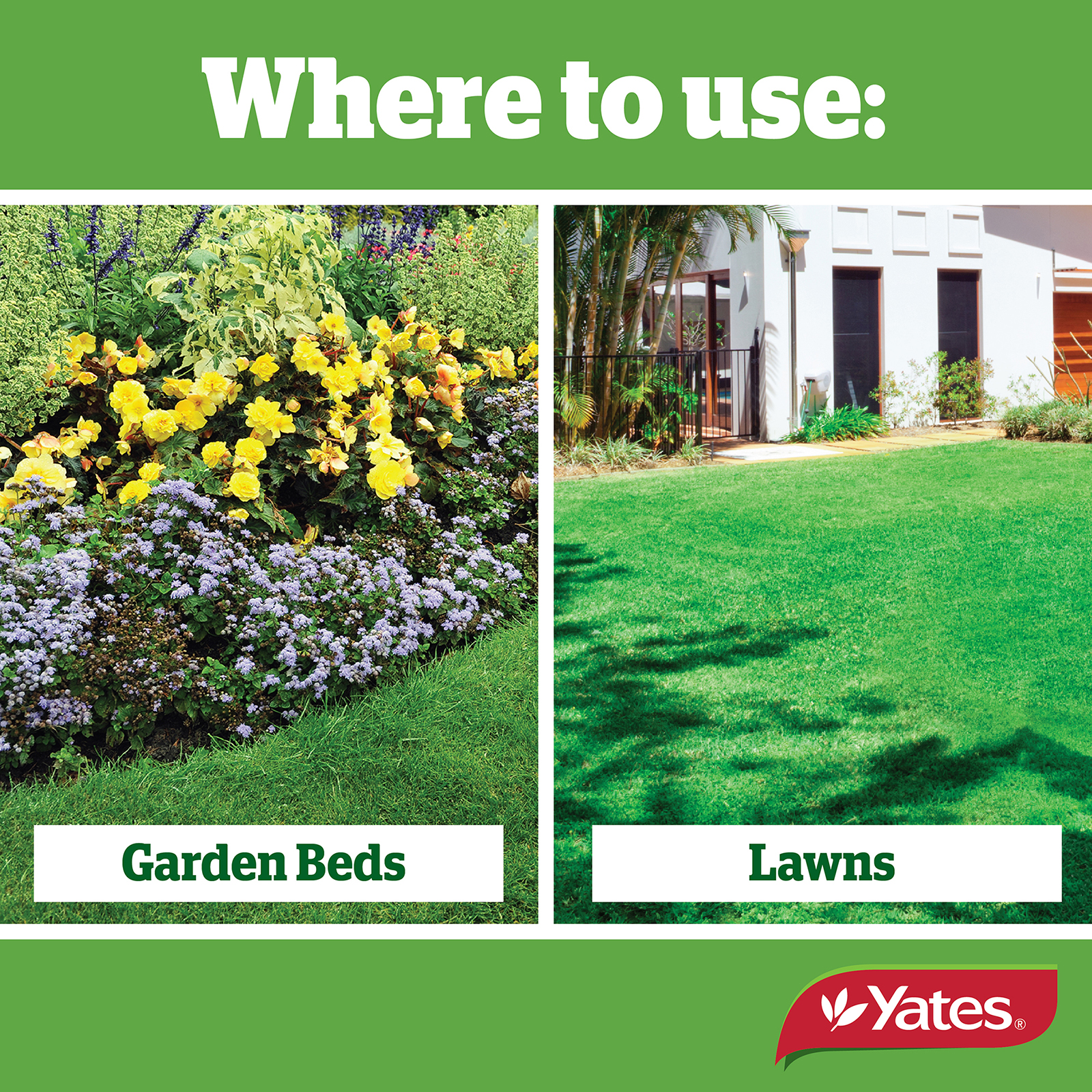 Yates Web Info FUNGUS FIGHTER V2 02