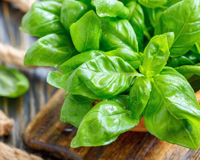 Delicious Herbs, Vegies & More