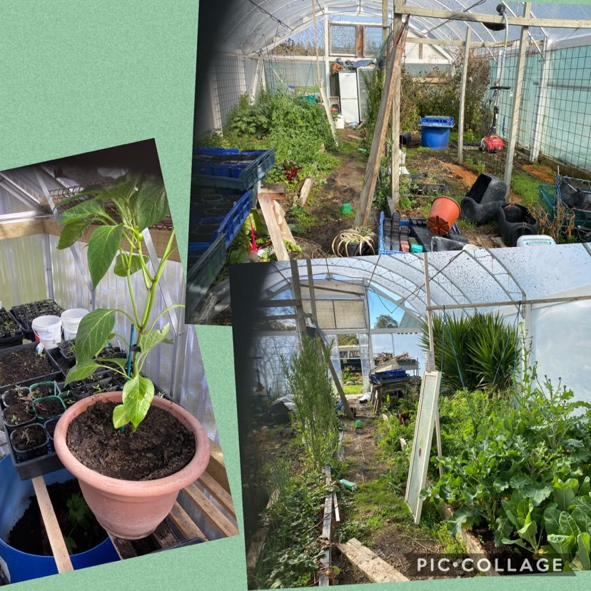 Hiding from the wind 